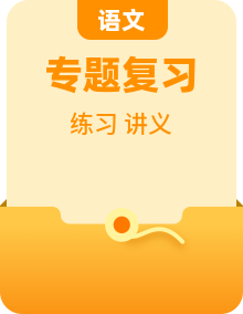 高考语文精品复习【讲义】【练习】专题复习