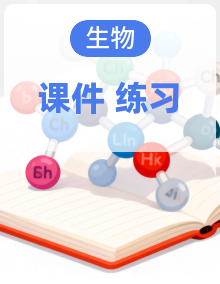 初中生物新北师大版七年级下册作业课件2025春