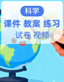新浙教版（2024）科学七下全书同步三件套（课件PPT+视频+教学设计+分层练习）（原卷版+解析版）