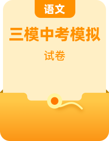 2025年中考三模语文试题(含答案)
