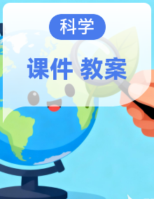 教科版（2024）小学科学一年级上册同步备课（课件+教案+素材）