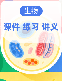2025年中考生物一轮复习 课件+练习+讲义