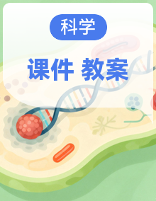 【核心素养优质课】苏教版一年级下册科学教学课件+同步教案含反思