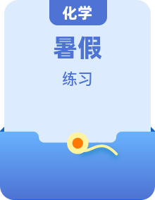 2025年新高二化学暑假衔接讲练 (人教版)（含答案）