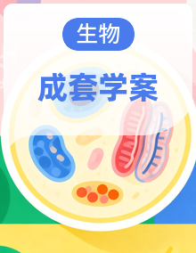 北师大版生物八年级上册（2024）导学案（含答案）
