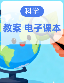 2024教科版一年级科学下册（备课教案，计划，单元小结，科学阅读，电子课本）