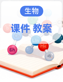 人教版2024七年级生物同步课件+教案