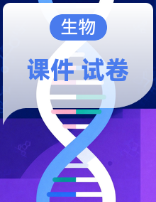 人教版生物必修2《遗传与进化》考点复习大串讲课件PPT+复习检测卷全册