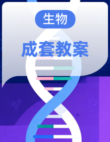 人教版生物七年级下册(2024)教学设计整册