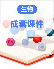 新苏教版(2024)生物八年级下册同步教学课件