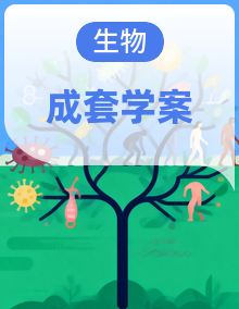 人教版生物七年级下册（2024）学案全套