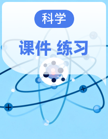 小学科学新教科版三年级上册作业课件（含答案）（2025秋）