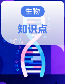 初中人教版生物总复习知识点合集