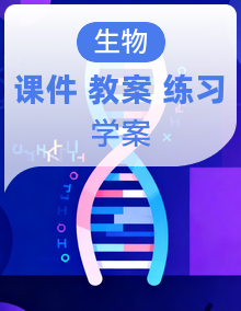 人教版生物七年级下册（2024）课件PPT+教案+分层练习+学案全套