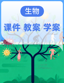 【新课标】济南版生物七年级上册同步备课课件+教案（表格式）+导学案