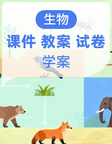 新人教版初中生物七年级上册课件+教案+学案+试题