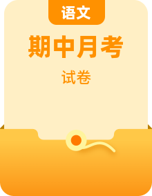 2024-2025学年八年级下学期5月期中语文试题（含答案）
