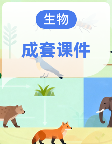 2025-2026学年度人教版生物七年级下册同步备课课件