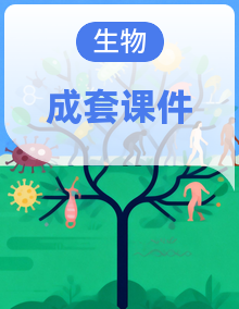 冀少版（2024）生物七上课件
