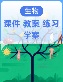 【新教材核心素养】人教版生物七年级下册课件+同步教案+导学案+分层作业