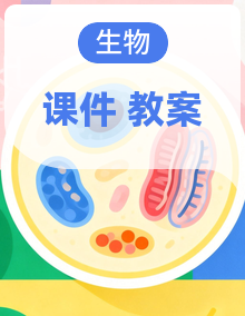 人教版初中生物七年级下册课件+教案