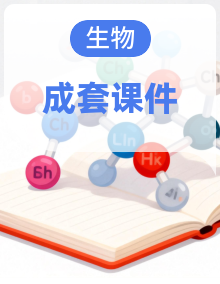 苏教版（2024）生物七年级上册同步教学课件