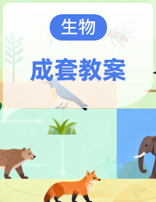 【精编】苏教版（2024）生物七年级下册全册教学设计（表格版）