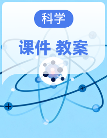 （湘科版2024）一年级科学下册同步课件+教案