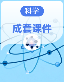 2025年秋人教鄂教版四年级科学上册 同步(课件)