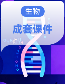 北师大新版2024 生物七年级上册 全册课件