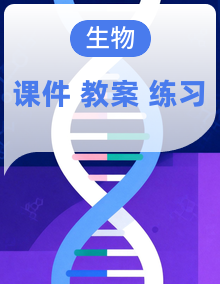 冀少版生物八年级上册（2024）PPT课件+教案设计+分层练习（含答案）