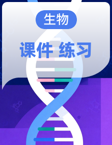 2025-2026学年人教版生物八年级上学期期中复习专题课件+练习