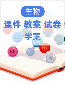 人教版2024初中生物八下课件+教案+学案+试题