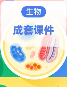 【核心素养】2024-2025新版北京版生物八年级上册 课件