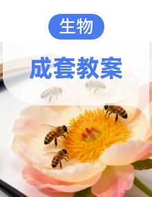人教版（2024）生物八年级下册同步教案