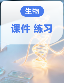 初中生物新人教版八年级上册作业课件（含答案）（2025秋）