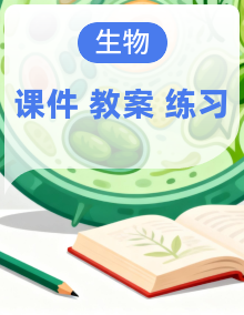 人教版（2024）生物八年级上册（2024）PPT课件+教学设计+课时练习全册