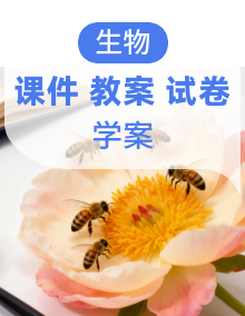 2025-2026学年人教版生物八年级下册全册课件+教案+导学案（原卷+解析）