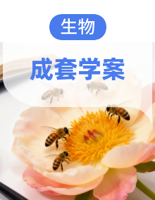 人教版七年级下册生物学同步教学导学案