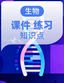 【期中复习】2025-2026学年高中生物必修一高一上学期期中复习专题(课件+专题训练+知识点)
