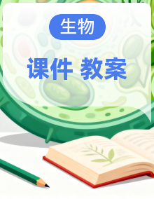 苏教版生物八年级上册（2024）课件+教案（表格式）