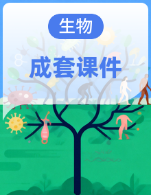 （课件）2025-2026学年人教版（2024）生物七年级下册