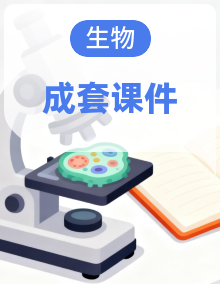 2024-2025人教版(2019)生物必修1《分子与细胞》全套课件PPT