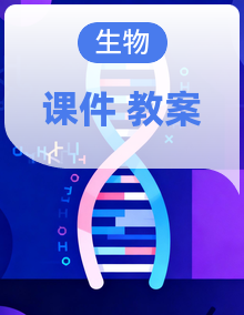 人教版 初中生物 七年级下册 同步备课 课件+教案