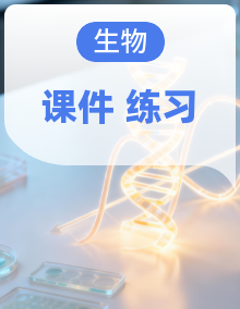 2025年人教版新版 初中生物八年级数学上册 作业练习 习题课件