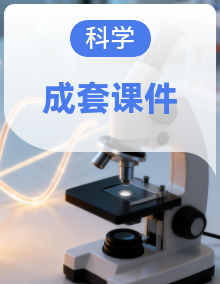 2025年大象版三年级科学上册（课件）