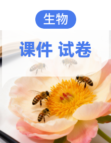 2026年高考生物大一轮复习课件（含试题及答案）