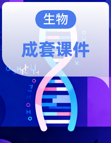 2025-2026学年2024冀少版八年级生物下册教学同步课件