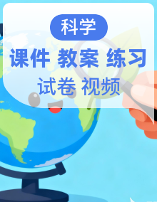 新教材苏教版小学科学三年级上册全册课件+教案+视频+作业（全套）＋期末卷
