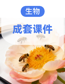 2024-2025学年高一下学期生物教学课件（人教版2019必修2）